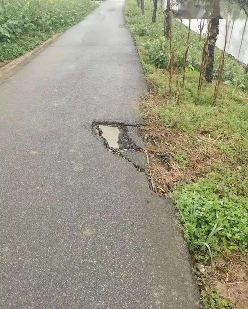 学史力行办实事，光明村用数据服务暖民心