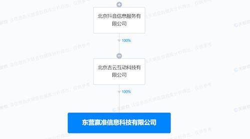 数据处理与存储支持服务 构建数字时代的坚实基座